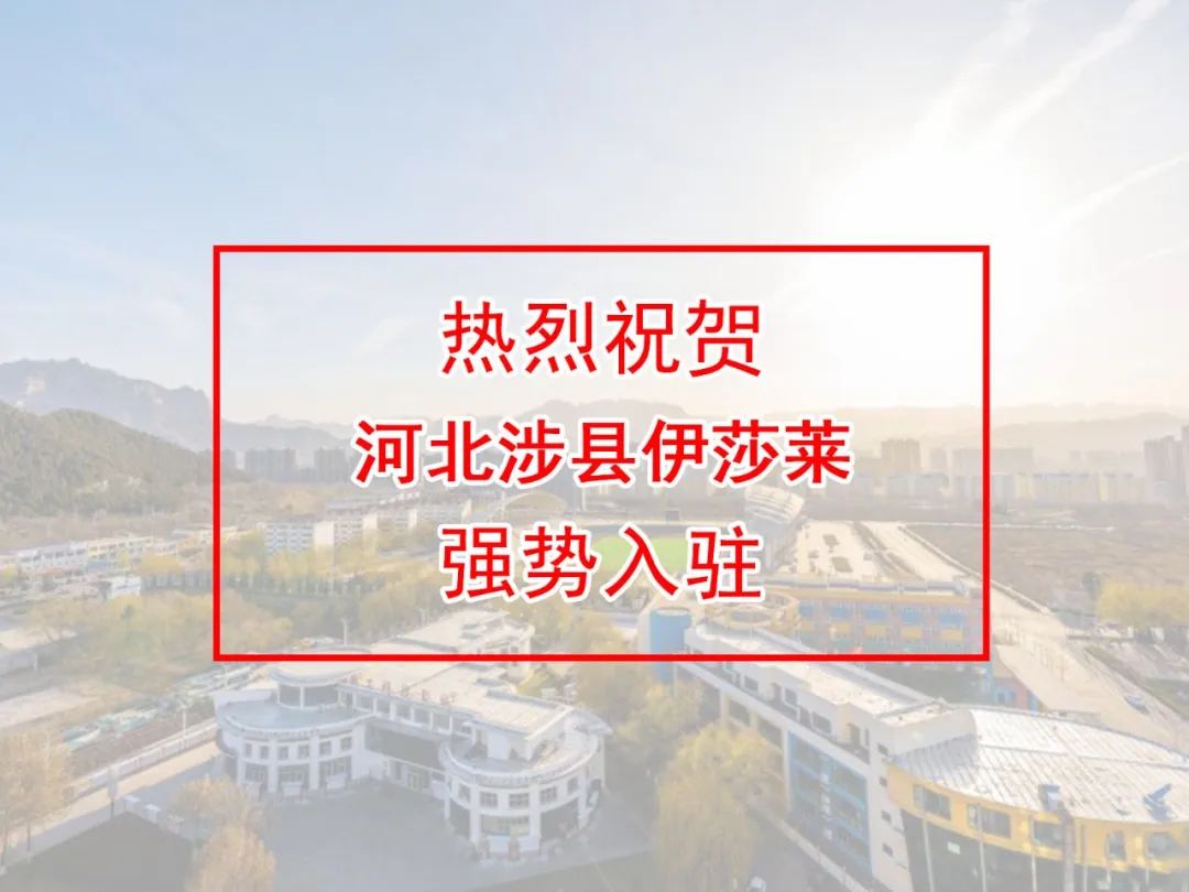 河北窗簾加盟-河北邯鄲涉縣青青草视频app窗簾專賣店